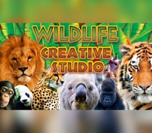 Wildlife Creative Studio PC Steam Ключ