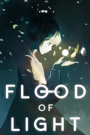 Flood of Light Steam Ключ