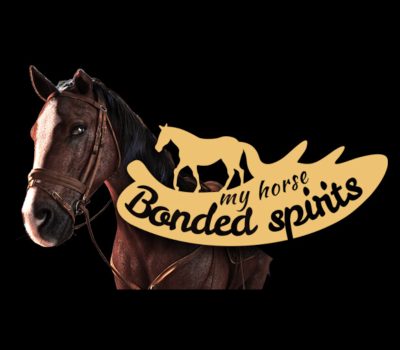My Horse: Bonded Spirits PC Steam Ключ
