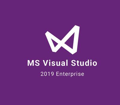 MS Visual Studio 2019 Enterprise Ключ