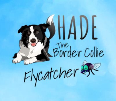 SHADE The Border Collie Flycatcher PC Steam Ключ