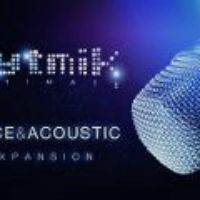 Rytmik Ultimate – Voice & Acoustic Дополнение DLC Steam Ключ