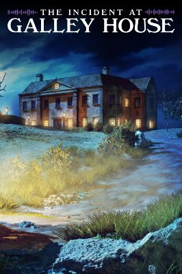 The Incident at Galley House PC Steam Аккаунт