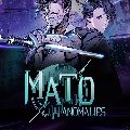Mato Anomalies — Ключи активации