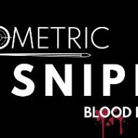Geometric Sniper - Blood in Paris Steam Ключ