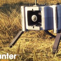 theHunter: Call of the Wild - Ambusher Pack DLC PC Steam Ключ