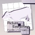 Picture Everything: Puzzle Cross Galaxy — Ключи активации