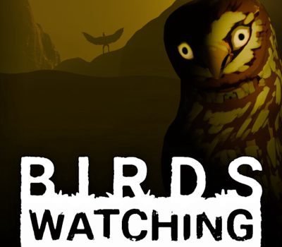 Birds Watching PC Steam CD Key