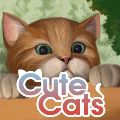 Cute Cats — Ключи активации
