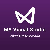MS Visual Studio 2022 Professional EU Ключ