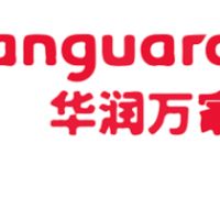Vanguard CNY 100 Подарочная карта CN