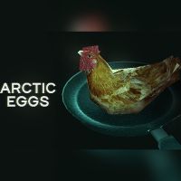 Arctic Eggs PC Steam Ключ