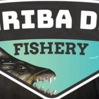 Ultimate Fishing Simulator - Kariba Dam DLC EU Steam Ключ