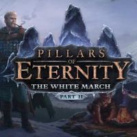 Pillars of Eternity - The White March Part II DLC EU Steam Ключ