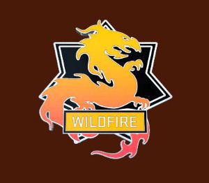 CS:GO - Series 3 - Wildfire Collectible Pin