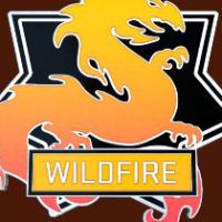CS:GO - Series 3 - Wildfire Collectible Pin