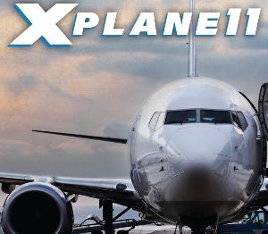 X-Plane 11 Digital Download Ключ