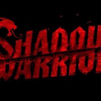 Shadow Warrior Особое издание EU Steam Ключ