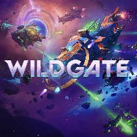 Wildgate PC Steam Аккаунт