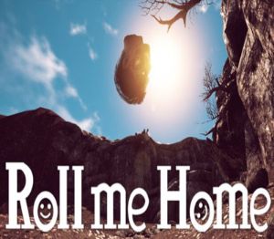 Roll me Home PC Steam Ключ