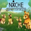 Niche — Ключи активации