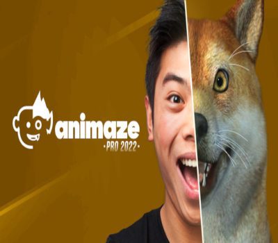 Animaze Pro 22 - Lifetime License DLC Steam Ключ
