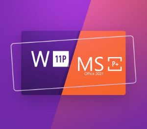 MS Office 2021 Professional Plus Retail & Windows 11 Professional Retail Набор Ключ