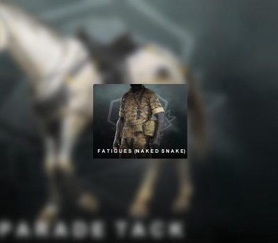 Metal Gear Solid V: The Phantom Pain - Fatigues (Naked Snake) DLC Steam Ключ