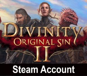 Divinity: Original Sin 2 Steam Аккаунт