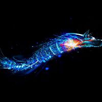 Bitdefender Antivirus Plus 2024 Ключ (2 Years / 3 PCs)