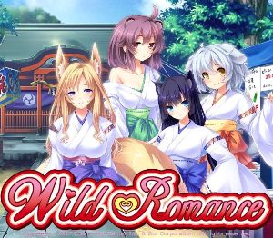 Wild Romance Steam Ключ