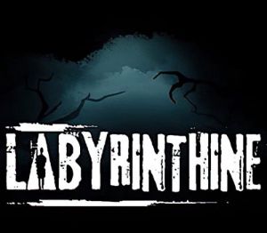 Labyrinthine PC Steam Ключ