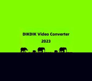 DIKDIK Video Converter Steam Ключ