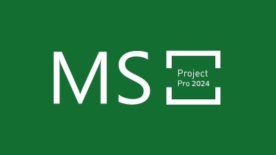 MS Project Professional 2024 Bind Ключ