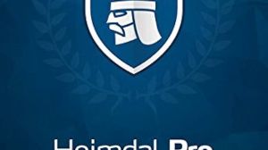 Heimdal Pro 2024 Ключ (3 Years / 1 PC)