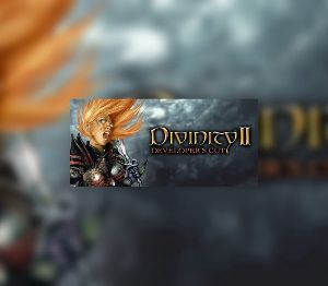 Divinity II: Developer's Cut GOG Ключ