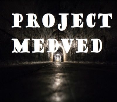Project Medved Steam Ключ