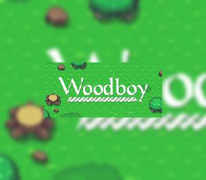 Woodboy Steam Ключ