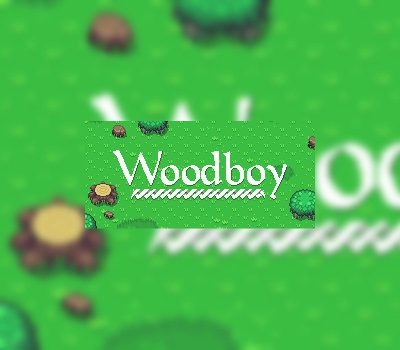 Woodboy Steam Ключ