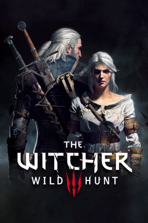 The Witcher 3: Wild Hunt Remastered PC Steam Account