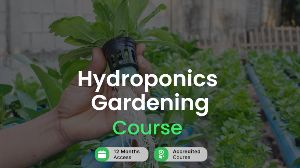 Hydroponics Gardening Online Course Alpha Academy Code