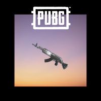 PUBG - Silver Plate Beryl M762 DLC Steam Ключ