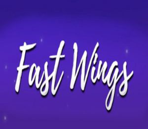 Fast Wings Steam Ключ