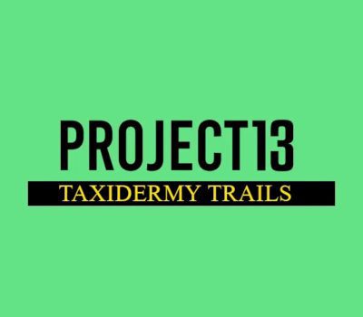 Project 13: Taxidermy Trails EU PS5 Ключ