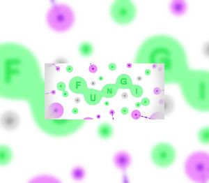 FUNGI Steam Ключ