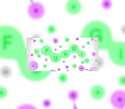 FUNGI Steam Ключ
