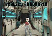 Reality Incognita Steam Ключ
