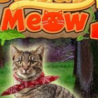 Suddenly Meow 2 Steam Ключ