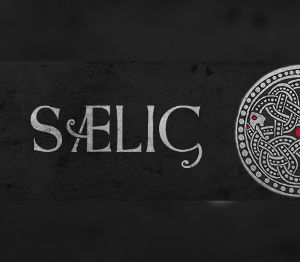 SAELIG EU PC Steam Альтергифт