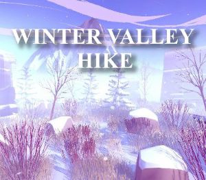 Winter Valley Hike PC Steam CD Key